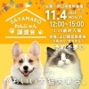 「秋の犬猫譲渡会のお知らせ11/4㈪」