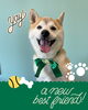 「Dog salon mofu mofu　余市町」