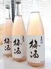 完熟南高梅の無農薬梅酒 新酒限定1.600本自然派「⭐辛口で白ワインのような大人の梅酒になります♬　完熟南高梅の無農薬梅酒 新酒【限定1.600本】自然派⭐【新井順子さん醸造の梅酒は、無農薬のお米から作った日本酒に、無農薬の梅を漬けてます。】この時期に楽しめる限定無農薬　新酒梅酒になります♬」
