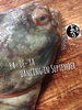 「石ガレイ入荷致しました
【浜町の海鮮居酒屋 上なり】」