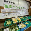 「道の駅木曽福島『高原産とうもろこし』9月前半頃まで入荷予定！」