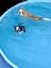 しらこちゃん＆こんぶくん🐠「ましゅまろプールDAY🐳」