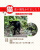 黒猫の目撃情報です。迷い猫かも？【新居浜市中村】 | まいぷれ