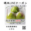週末LINEクーポン　花みずき　20％オフ「週末お得クーポン配信中 【伊那市のお土産、ケーキ、スイーツといえばちいずくっきい】」