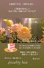 2周年記念「祝い華」✧︎*。大好きな薔薇…「2周年記念へ感謝を申し上げます✧︎*。本日9/3リリース!!「モンゴルヨガ」モンゴル式マインドフルネス!感謝を込めて… 【福島市のヨガスタジオ/都度払い/プライベートレッスンあり】」