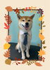 「Dog salon mofu mofu　余市町」