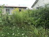 結構な高さの草です。「お庭の草刈りはいかがでしょうか  (^^」