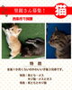 「【西条市】里親募集のお知らせ！」