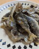 「昨日の釣果🎣」