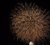 「【賀来小中・城南中・挾間中】祭だワッショイ」