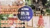 「《静岡駅集合》★20代～30代中心★開運ツアー♡～熱海編～」