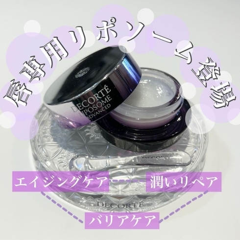 唇専用｣のリポソームが登場します💋💜 | 化粧品専門店self beauty lab LEAF（セルフビューティーラボリーフ）のニュース |  まいぷれ[舞鶴・綾部・福知山・宮津・与謝・京丹後]