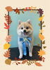 「Dog salon mofu mofu　余市町」