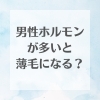 男性薄毛横浜市磯子区「男性ホルモンが多いと薄毛になる？」
