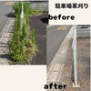 駐車場草刈りビフォーアフター「☆駐車場の草刈りは当店へおまかせください☆」