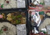 お弁当各種販売中！「手作り弁当出来ました！」