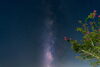 天の川を撮ってみました。「【島根県浮気調査】探偵の免疫力アップ法」