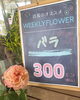「今週からweekly flower🌸として おすすめの花を店内のボードにて置いております🙂‍↕️✨ お花選びの参考に見ていただけたら嬉しいです🔍🤍【越前市/花屋/生花/フラワーアレンジメント/ふるーれ・T】」