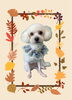 「Dog salon mofu mofu　余市町」