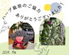 「『ハーブ蒸し』ハーブの優れた効果　色々♡」