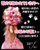 「お誕生日に贈る犬モチーフのお花【福山駅近くのおしゃれな花屋】」