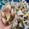「農産物直売所 秋の気配が…」