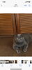 我が家の岡田サクです。岡田うさぎは→です。「元警視庁刑事 顧問。浮気調査 家出調査 防犯対策 人探し 結婚調査等は 防犯対策等は、【創業平成7年、調査の青葉グループ 群馬-太田 栃木-足利・佐野 茨城-古河 埼玉-本庄 若さと責任感 be-ハッピー探偵事務所群馬太田】」