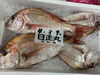 「鮮魚パックいろいろ販売中‼️〆鯖も販売致します🐳」