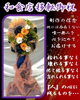 「胡蝶蘭にも負けない開店お祝いのｆの花【福山駅近くのおしゃれな花屋】」