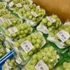 「信州産ぶどう多種類入荷します！道の駅木曽福島」