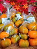 「庄内の秋の味覚《柿》新入荷しました！」