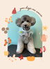 「Dog salon mofu mofu　余市町」