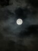 「9月17日は中秋の名月　実は明日もほぼ満月！9月の満月はハーベストムーン🌕」