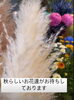 「秋らしいお花入荷しております♪」