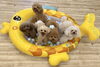 もっちー♡はぴ♡くま♡Ａきなこ♡とわ「ましゅまろ幼稚園🐾」