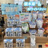 銀木犀も人気です🌟「『銀木犀』　入荷しました🩵🩶」