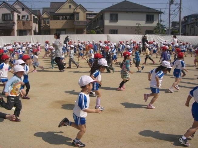 朝ランニングする園児たち「富士学園ってどんな園？」