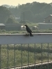 9月某日夕方　鈴の音テラスにて「ご理解ご協力のほどお願いします」