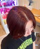 「red brown 」