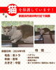 「迷い猫を保護しています【新居浜市坂井町付近】」