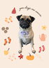 「Dog salon mofu mofu　余市町」