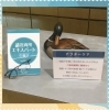 「遠近両用エキスパートのいるお店❕　『宮崎市　修理・調整　あなたの眼に寄り添うめがね屋さん👓』」