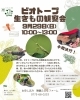「𓆏9月のビオトープ生き物観察会𓆏」