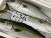 「鮮魚パックいろいろ販売中‼️〆鯖も販売致します🐳」