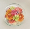 蘭の押し花 額縁 胡蝶蘭の押し花フレーム | 福井県小浜市 | ふるさと納税サイト「さとふる」