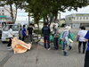 草ゼロ運動「教育とは」