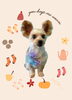 「Dog salon mofu mofu　余市町」