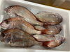 「鮮魚パックいろいろ販売中‼️〆鯖も販売致します🐳」