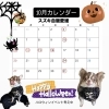 10月13日〜16日連休になります😌「10月のカレンダー👻✨わんこ達もハロウィンコーデ🎃❤️看板犬のいるお店🐶」