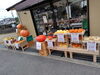 ハロウィンかぼちゃのコーナーを充実させてます「ハロウィンのかぼちゃ仕入れました🎃」
